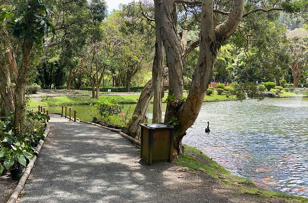 th IMG 6136 IMG 6139 th IMG 6136 IMG 6139