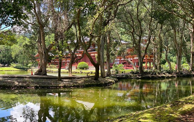 th IMG 6088 IMG 6091 th IMG 6088 IMG 6091