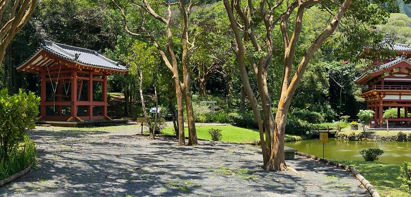 th IMG 6370 IMG 6375 th IMG 6370 IMG 6375