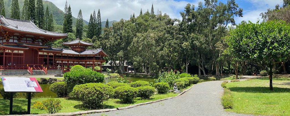 th IMG 6376 IMG 6384 th IMG 6376 IMG 6384