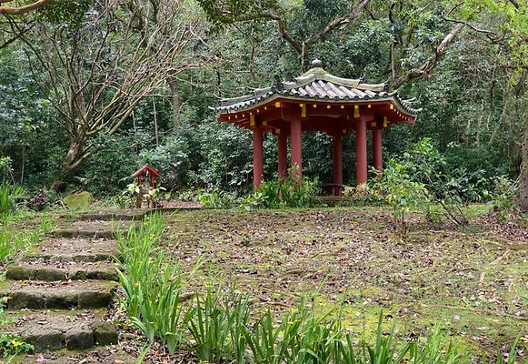 th IMG 6213 IMG 6216 th IMG 6213 IMG 6216