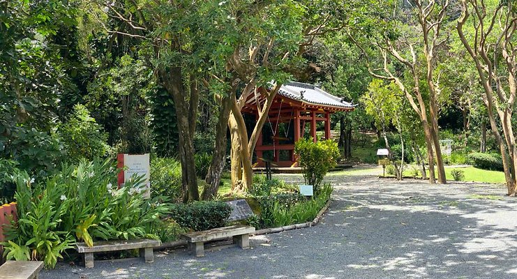 th IMG 6033 IMG 6036 th IMG 6033 IMG 6036