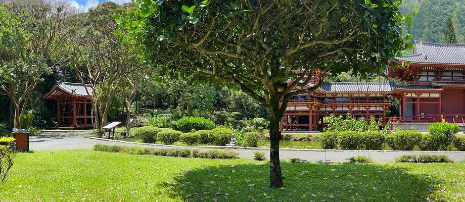 th IMG 6345 IMG 6350 th IMG 6345 IMG 6350