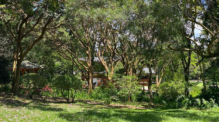 th IMG 6303 IMG 6306 th IMG 6303 IMG 6306