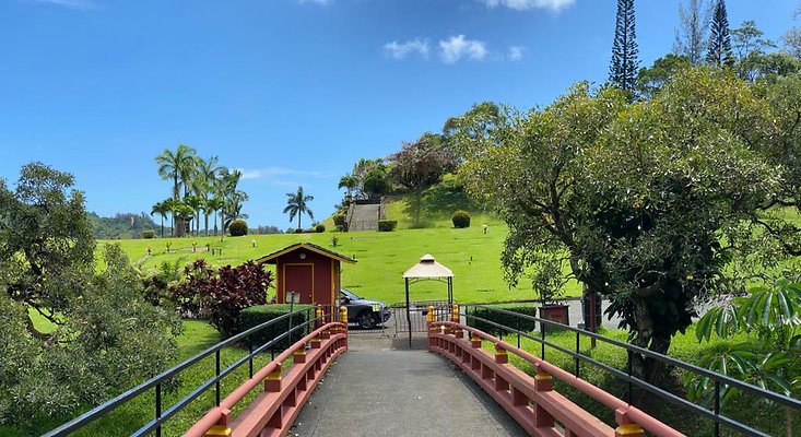 th IMG 6028 IMG 6031 th IMG 6028 IMG 6031