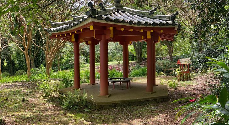 th IMG 6239 IMG 6244 th IMG 6239 IMG 6244