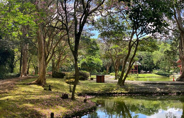 th IMG 6084 IMG 6087 th IMG 6084 IMG 6087