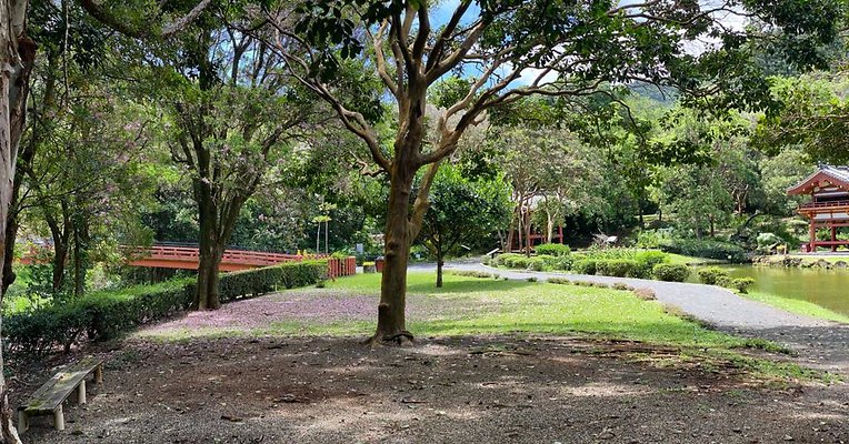 th IMG 6069 IMG 6072 th IMG 6069 IMG 6072