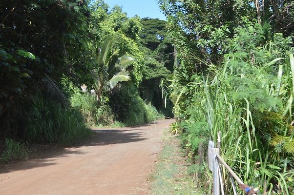 th DSC 0133 th DSC 0133