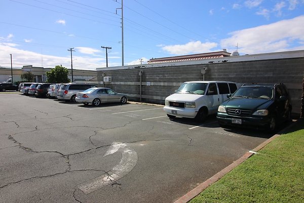 th IMG 0213 th IMG 0213