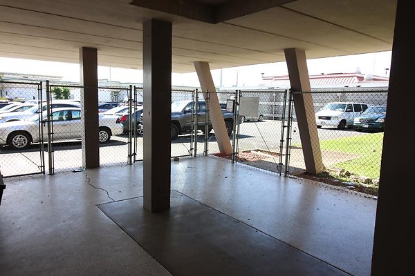 th IMG 0216 th IMG 0216