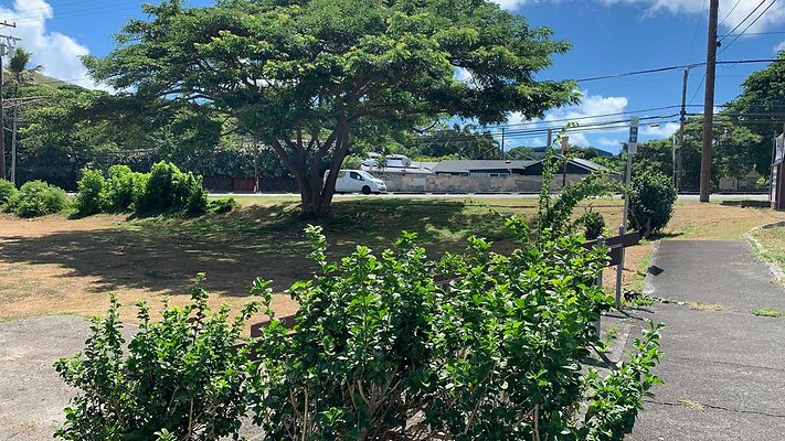 th IMG 4015 th IMG 4015