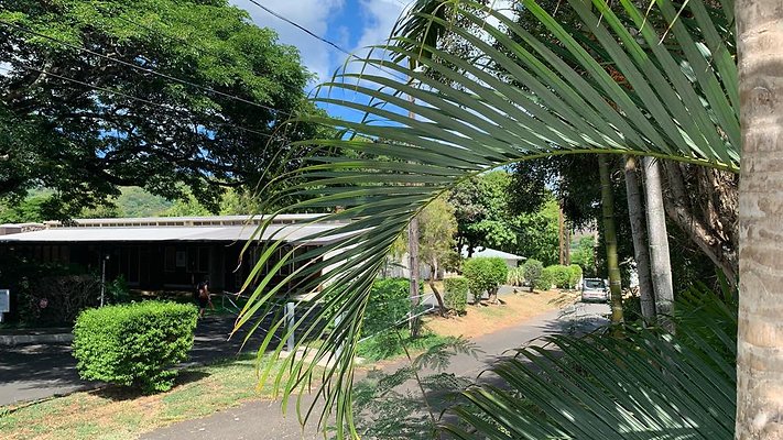 th IMG 4011 th IMG 4011