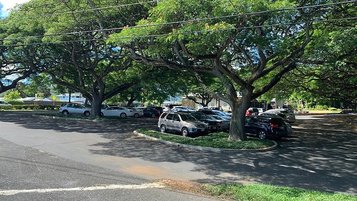 th IMG 4009 th IMG 4009