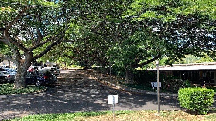 th IMG 4010 th IMG 4010