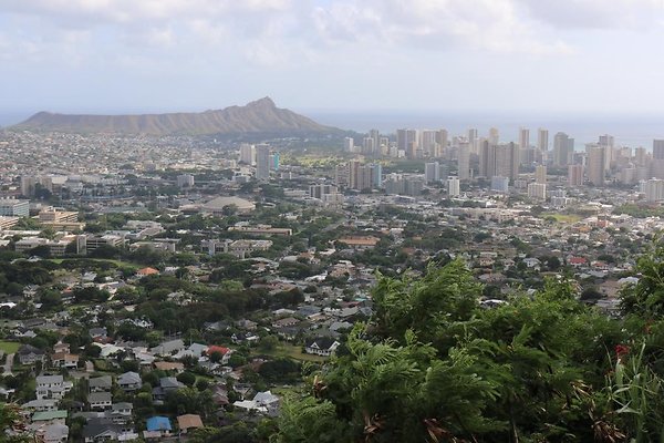 Ualakaa 3286 Round Top Drive Ualakaa 3286 Round Top Drive