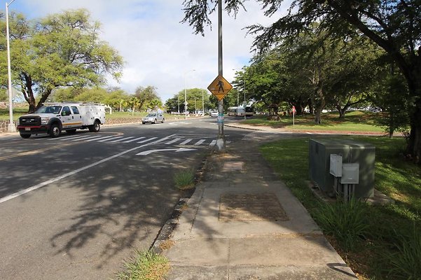 th IMG 1753 th IMG 1753