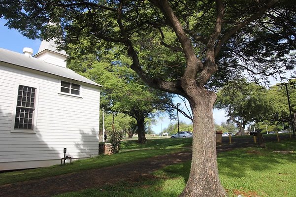 th IMG 1748 th IMG 1748