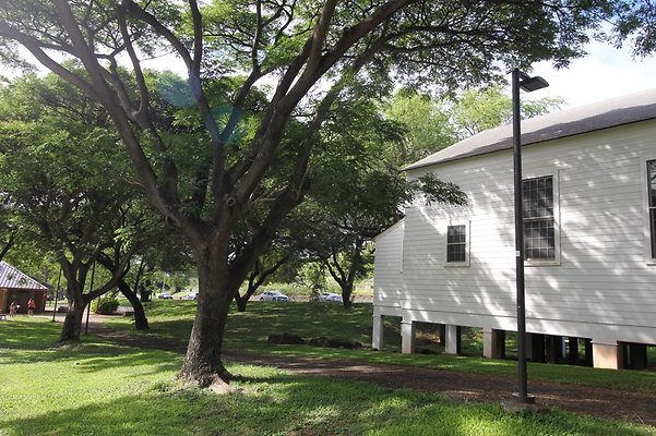 th IMG 1746 th IMG 1746