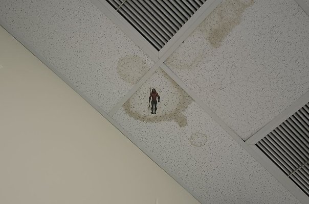 th DSC5643 th DSC5643