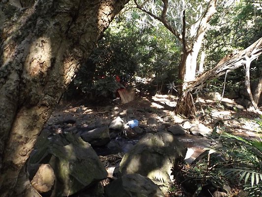 th DSCF4044 th DSCF4044