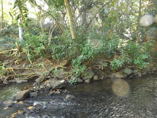 th DSCF4048 th DSCF4048