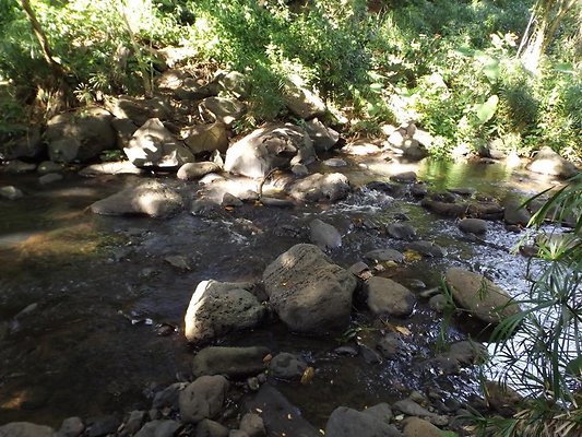 th DSCF4071 th DSCF4071