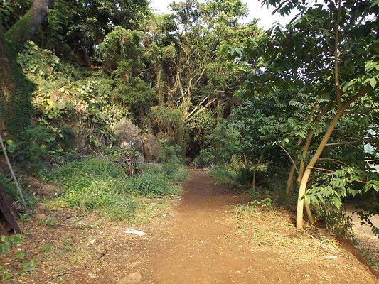 th DSCF4043 th DSCF4043