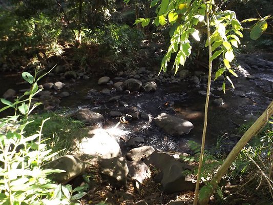 th DSCF4072 th DSCF4072