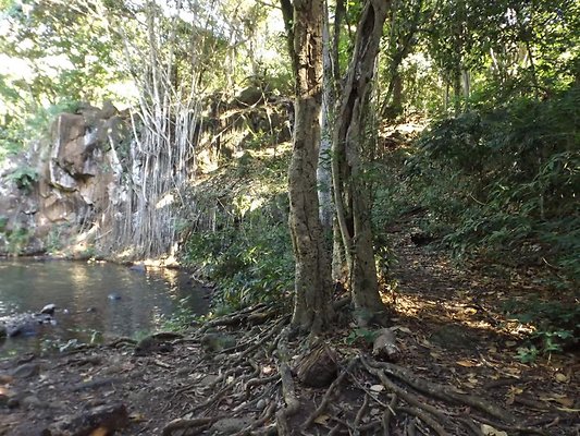 th DSCF4068 th DSCF4068