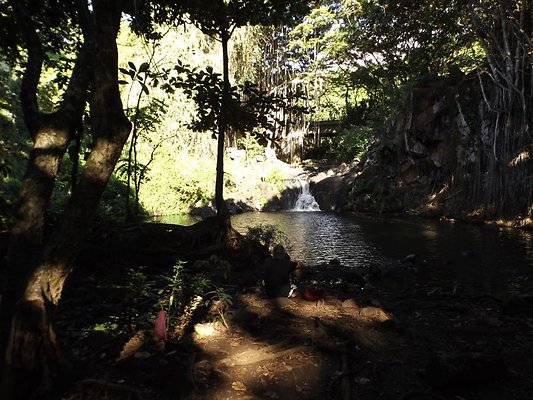 th DSCF4069 th DSCF4069