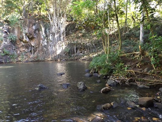 th DSCF4047 th DSCF4047