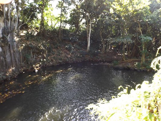 th DSCF4064 th DSCF4064