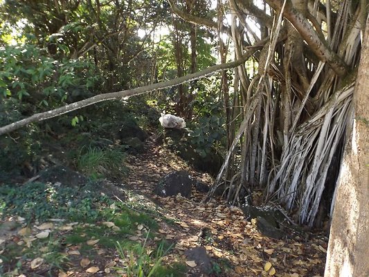 th DSCF4052 th DSCF4052