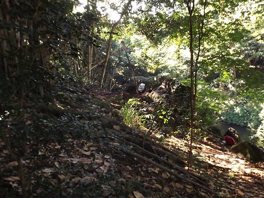 th DSCF4053 th DSCF4053