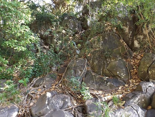 th DSCF4066 th DSCF4066