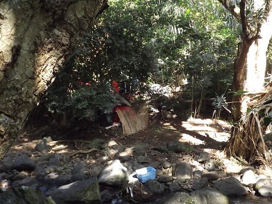 th DSCF4045 th DSCF4045