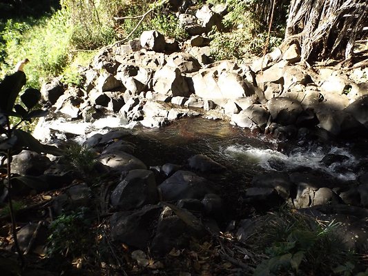 th DSCF4067 th DSCF4067