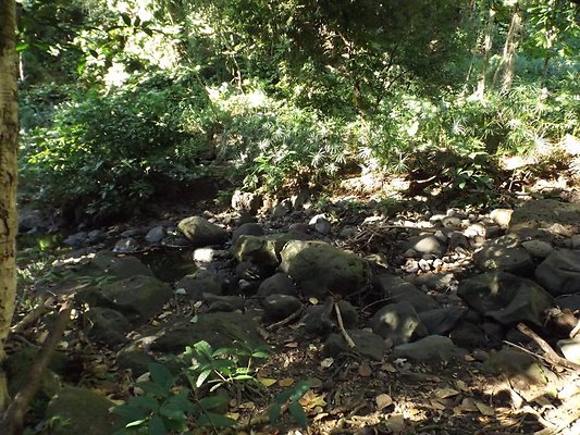 th DSCF4070 th DSCF4070