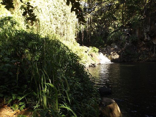 th DSCF4046 th DSCF4046