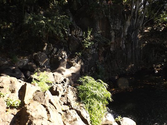 th DSCF4063 th DSCF4063