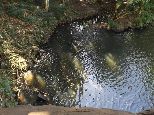 th DSCF4061 th DSCF4061