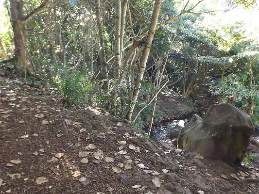 th DSCF4054 th DSCF4054