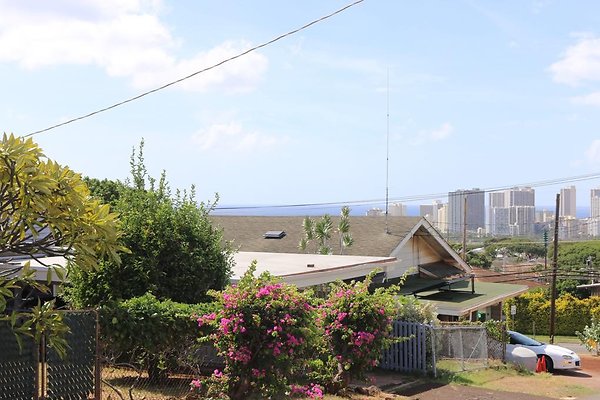 th IMG 0286 th IMG 0286