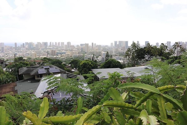 Ualakaa 2349 Aina Lani Ualakaa 2349 Aina Lani