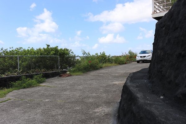 th IMG 0739 th IMG 0739