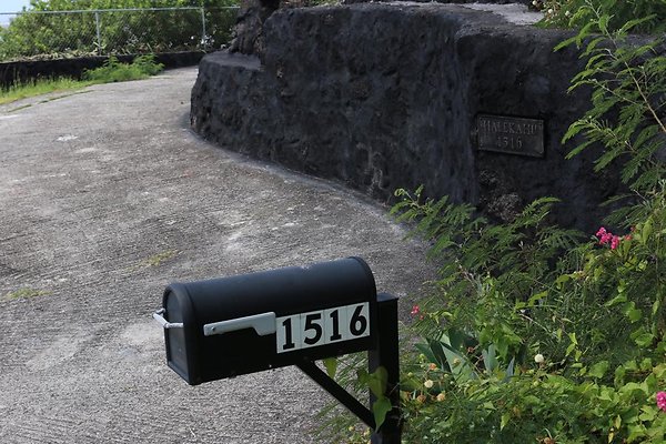 th IMG 0737 th IMG 0737