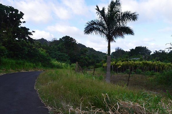 th DSC 0745 th DSC 0745