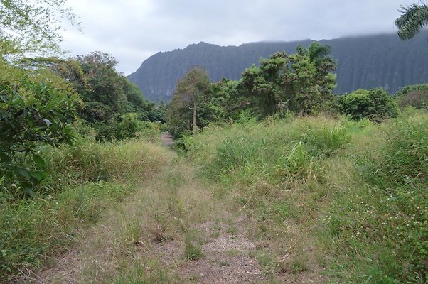 th DSC 0726 th DSC 0726