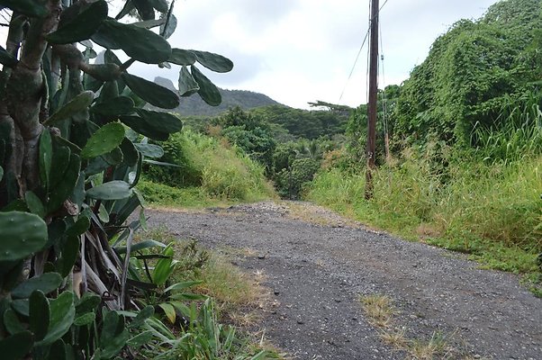 th DSC 0735 th DSC 0735